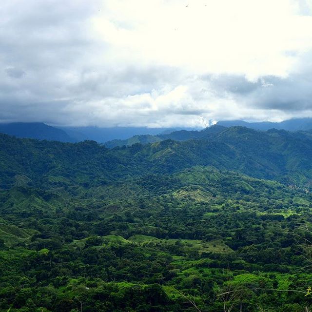 The never ending rolling hills of Colombia 🇨🇴 #Colombia #travel #Southamerica #Trees #hills #Mountains #hot #views #green #fun #love #travelpics #beautiful #incredible #amazing #instalike #instagood #travel #travelpics #instatravel #sky #like4like #instalike #picoftheday #photography #roundtheworld #worldtrip #wanderlust #clouds #colours