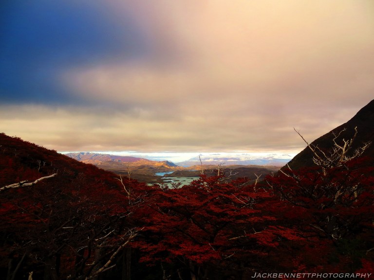 img_2224-copy-001watermark